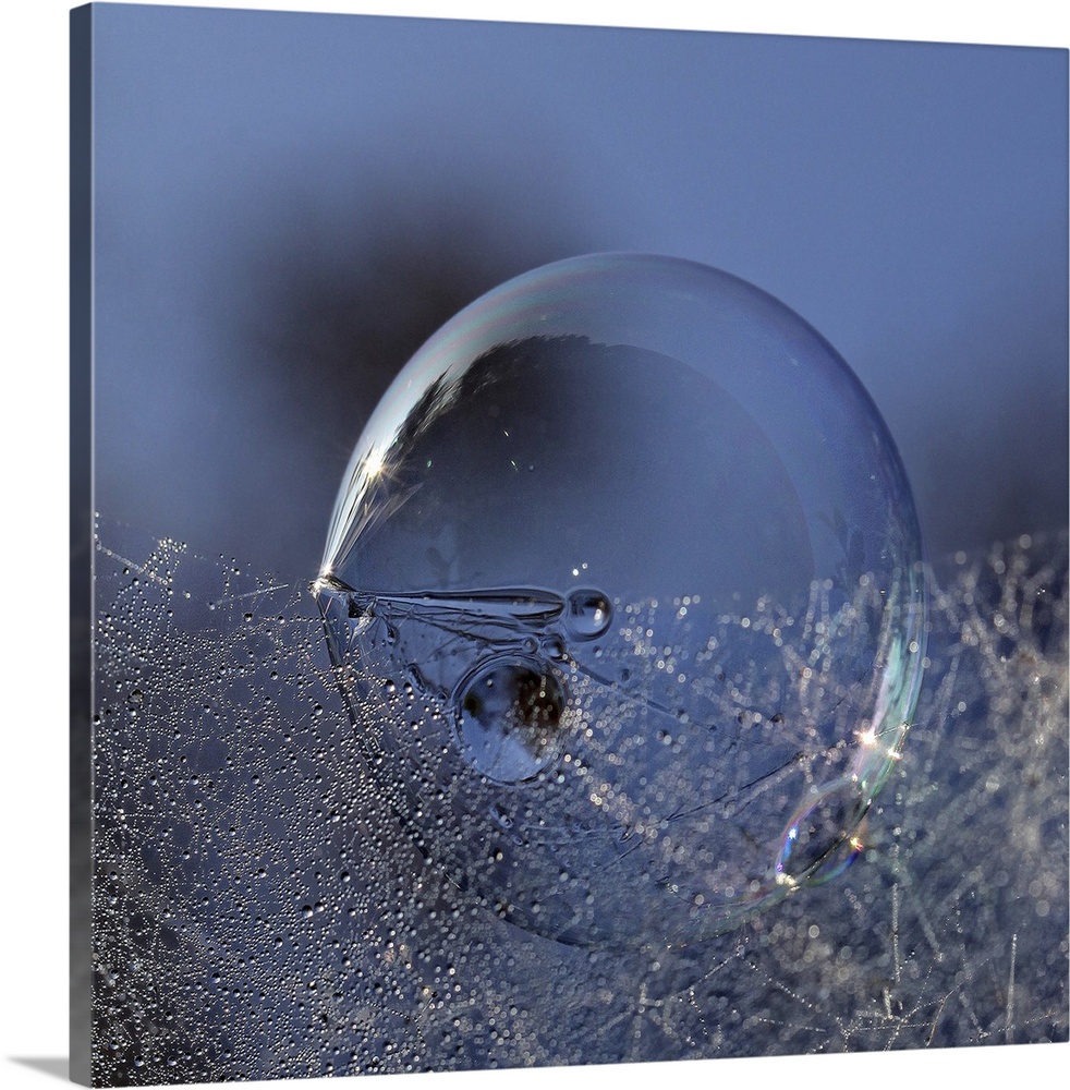 A large soap bubble sits under a web of small dew drops.