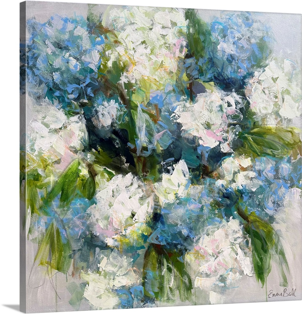 Blue Hydrangea Blooms