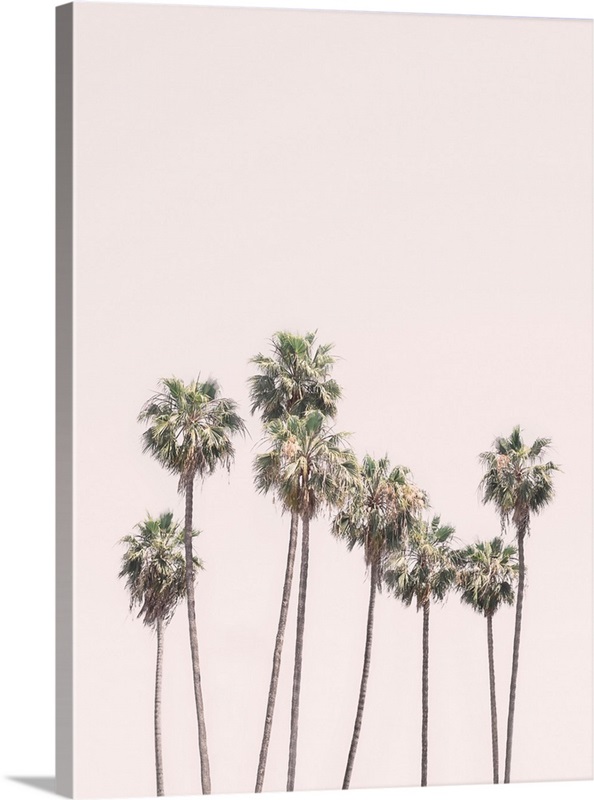 Blush Palms Wall Art, Canvas Prints, Framed Prints, Wall Peels Great