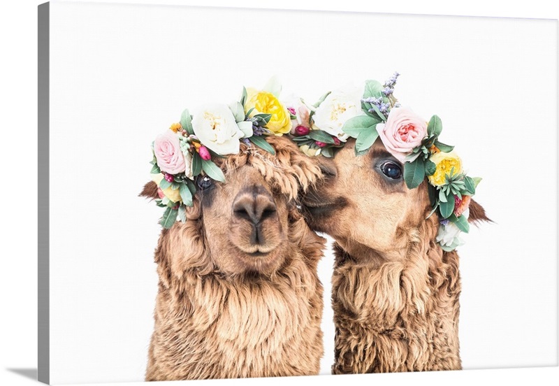 Boho Alpacas Wall Art, Canvas Prints, Framed Prints, Wall Peels Great