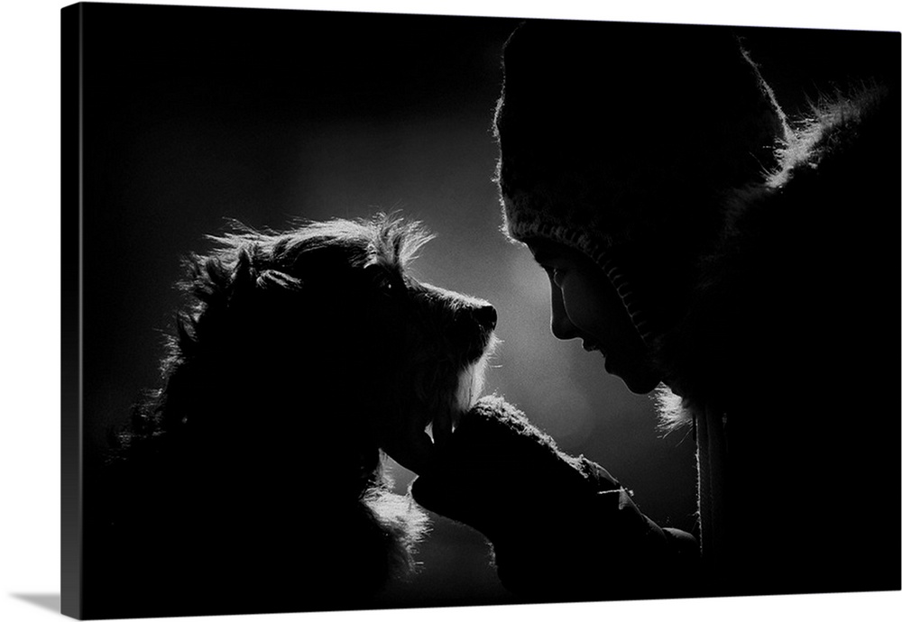 Backlit photograph of a child and dog looking at each other.