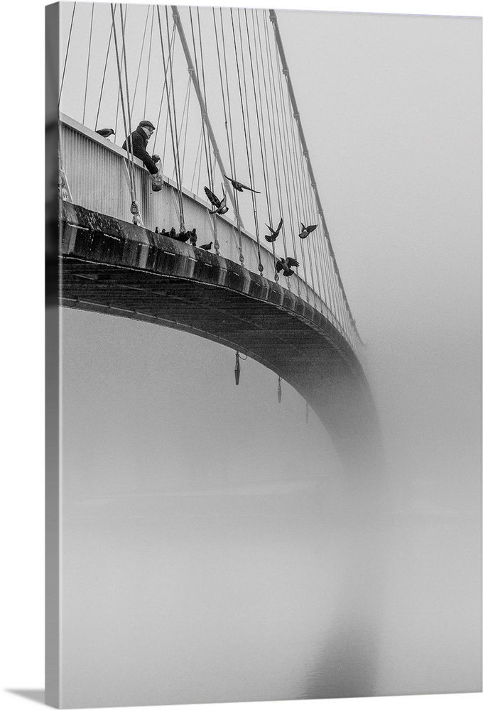 Man feeding pigeons from the edge of a suspension bridge, fading into the fog.