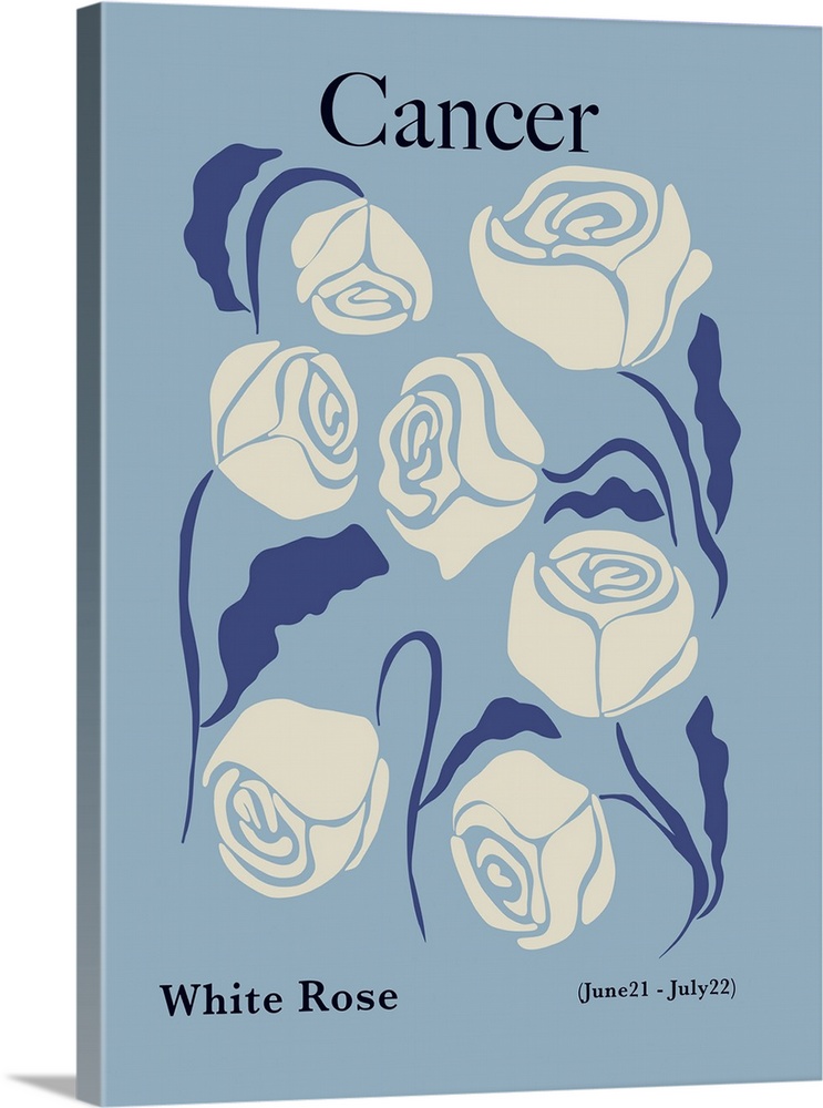 Cancer White Rose