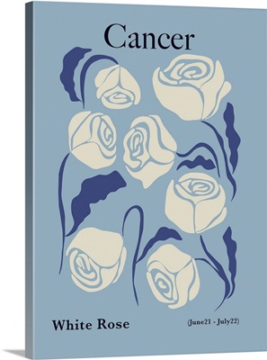Cancer White Rose