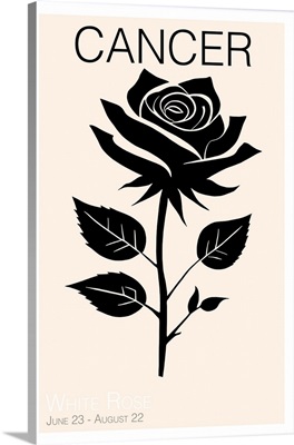 Cancer White Rose