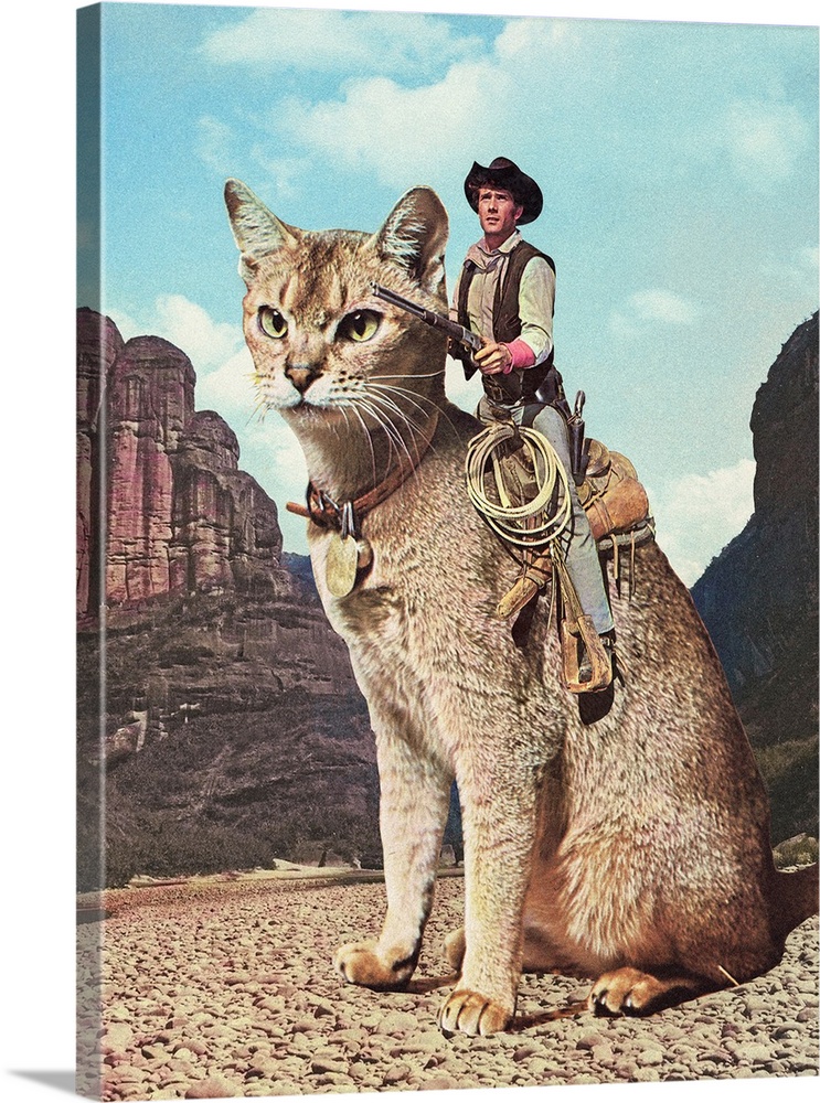 Cat Lone Ranger