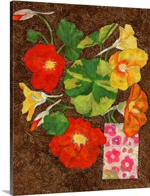 Colorful Nasturtium Flowers