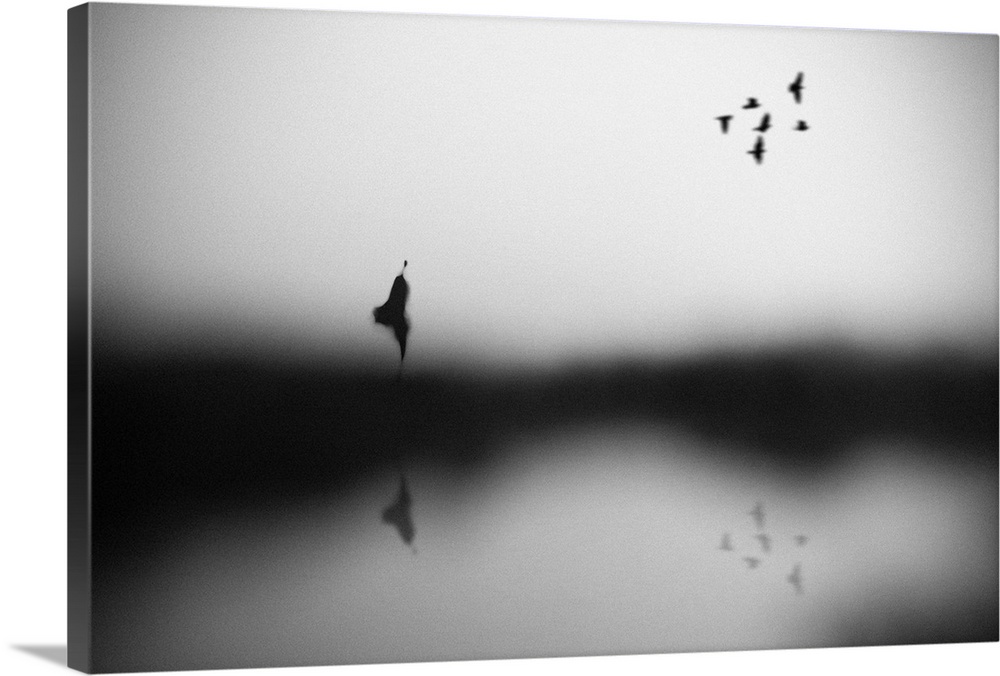 Out of focus image of a figure walking by water with a small flock of birds overhead.