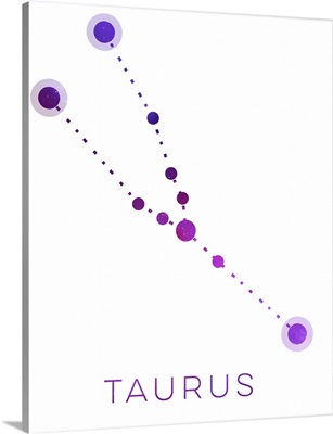 Constellation Taurus