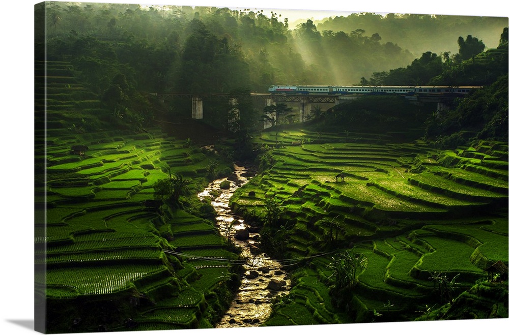 A river through terraced rice fields catches the warm sunlight.