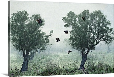 Crows In The Mist