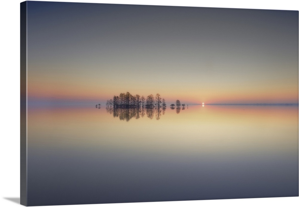 Reflective photograph of cypress trees at sunrise on a calm day at Lake Mattamuskeet, North Carolina.
