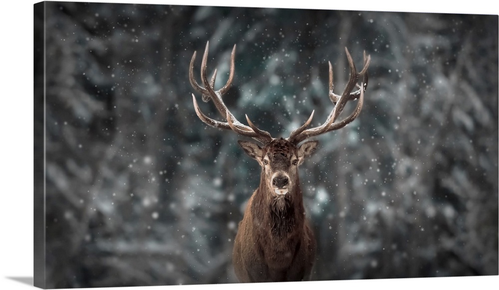 Deer King Wall Art, Canvas Prints, Framed Prints, Wall Peels | Great ...