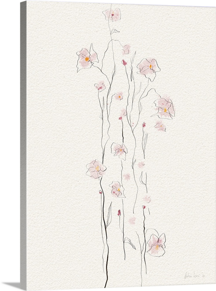 Delicate Orchid Blooms