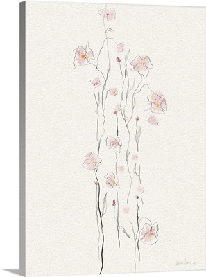 Delicate Orchid Blooms