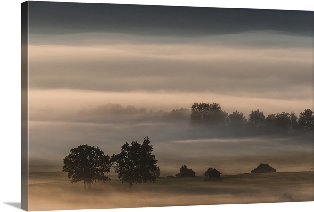 Landscape photograph of dense fog over farmland.