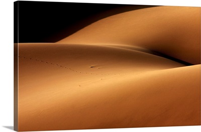 Desert And The Human Torso