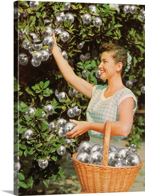 Disco Ball Grove