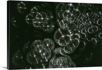 Disco Kaleidoscope - Wide