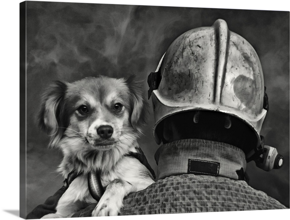 A firefighter carries a dog rescued from a burning building.