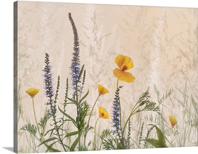 Dreaming Of Flowers image thumbnail