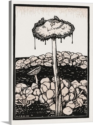 Dripping Mushroom, 1916