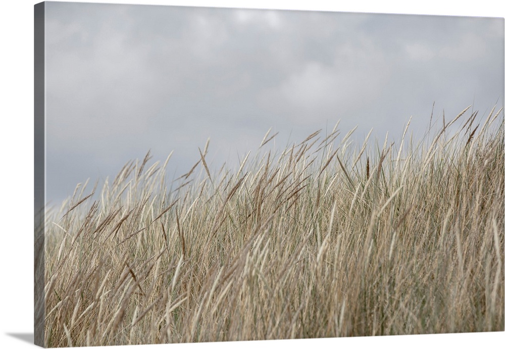 Dunes And Clouds 1