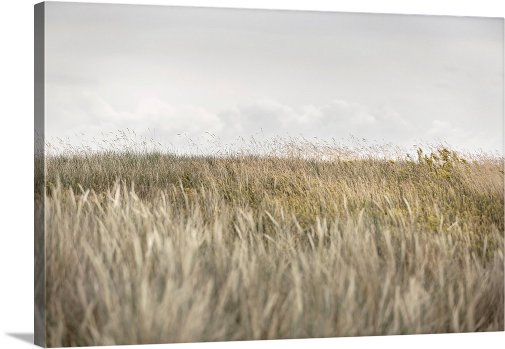 Dunes And Clouds 2