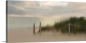 Early Bird image thumbnail