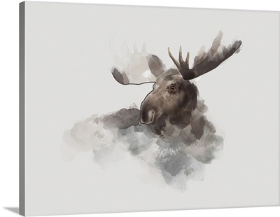 Elk