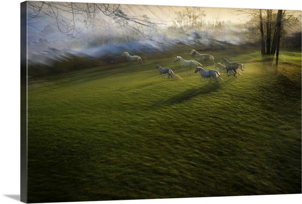 Motion blurred image of a herd of horses running through an open field.
