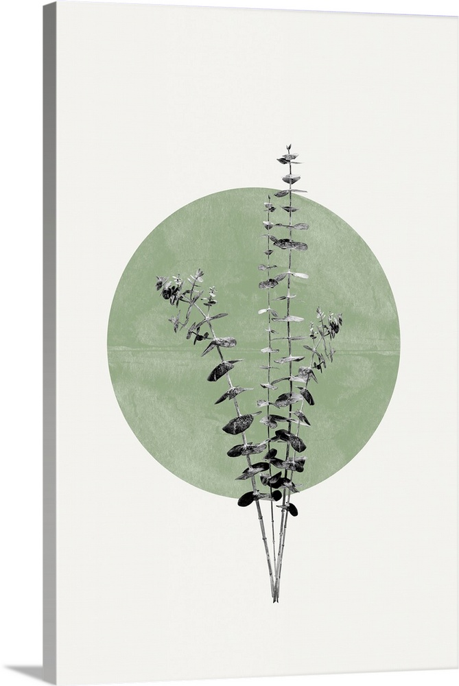 Eucalyptus And Green Moon