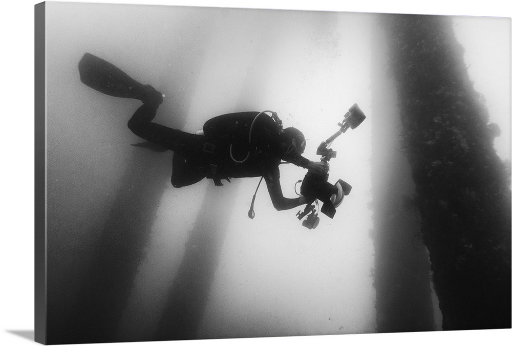 A scuba diver dives deep down into the ocean with a camera hoping to catch some interesting shots.