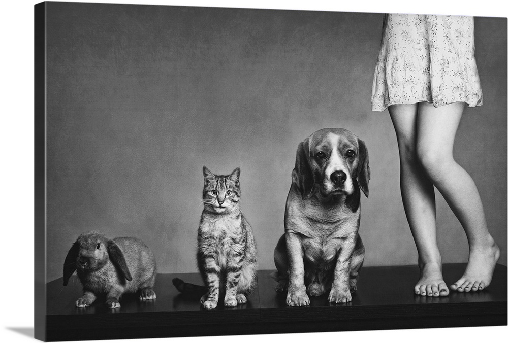 A "family portrait" including the legs of a young woman, a dog, a cat, and a rabbit.