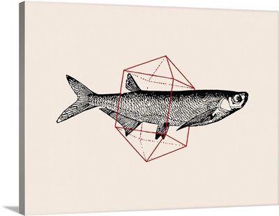 Fish In Geometrics No. 2