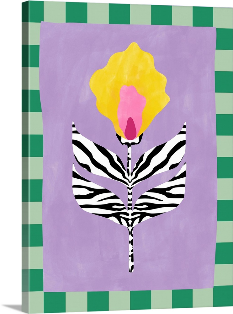 Flower With Zebra Patterned Leaves