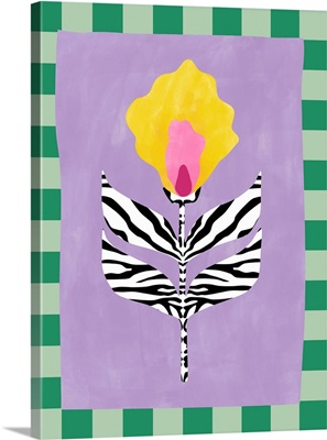 Flower With Zebra Patterned Leaves