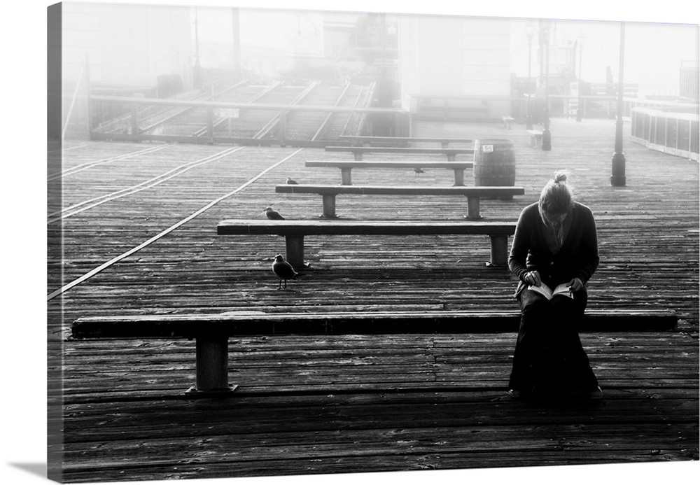 A woman reading on a bench on a pier with seagulls in the mist.