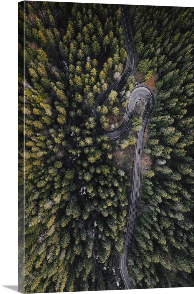 Drone view of winding forest road.