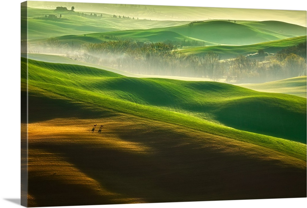 Light mist over the verdant rolling hills of Tuscany, Val d'Orcia, Italy.