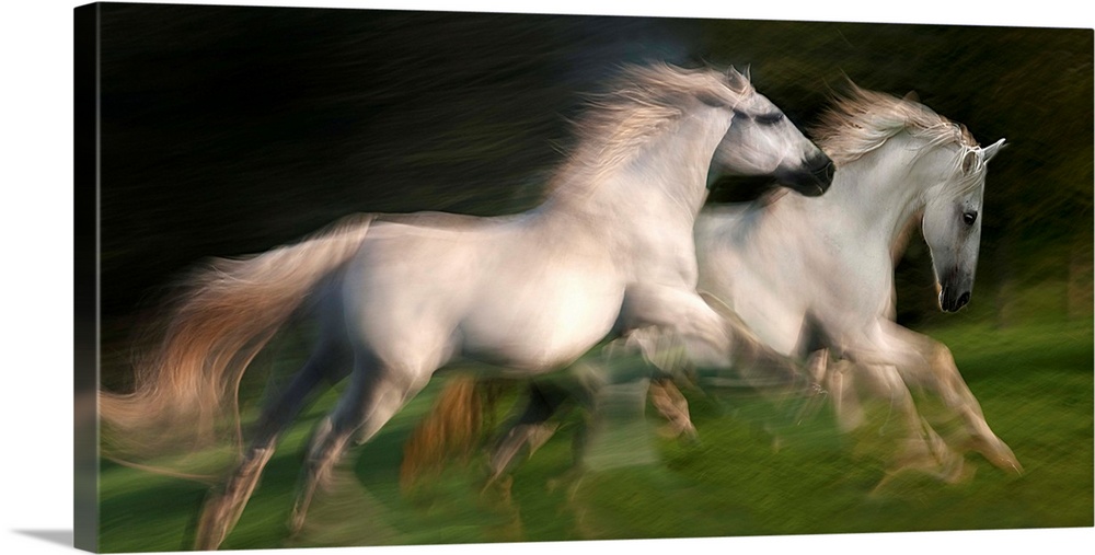Motion blurred photograph of wild horses galloping side by side.