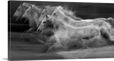 Gallop In The Repetition