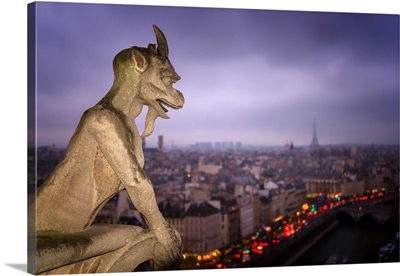Gargoyle Of Notre-Dame Cathedral, Paris