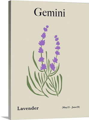 Gemini Lavender