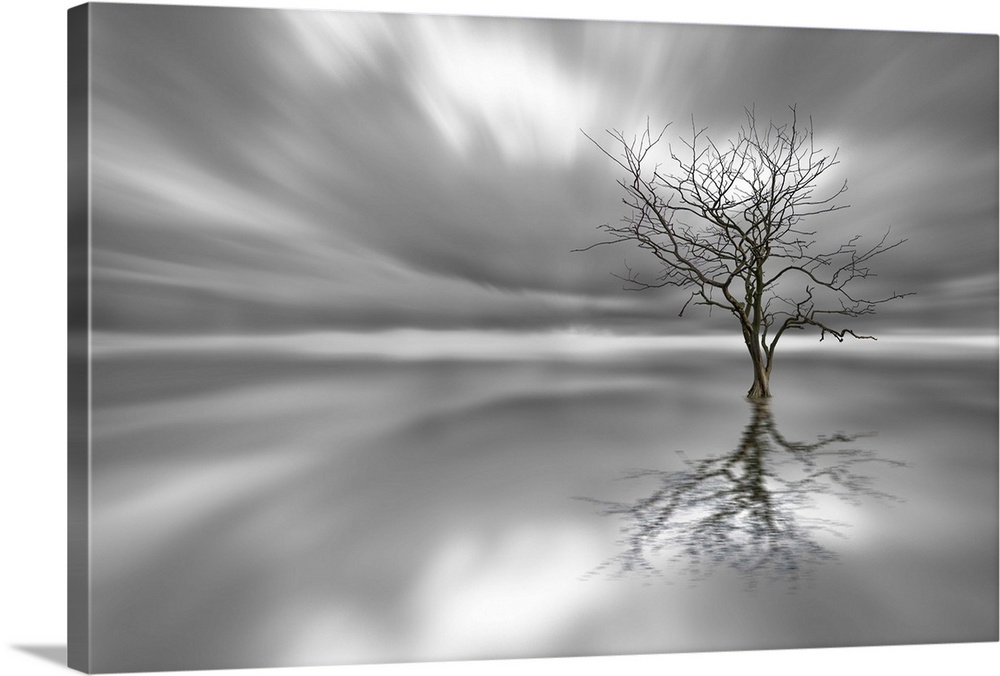 A lone tree stands strong in a still watery landscape casting mirror-like reflection.