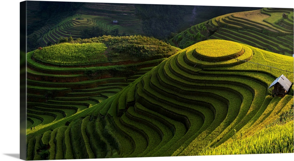 A view of a green farming valley of Vietnam.