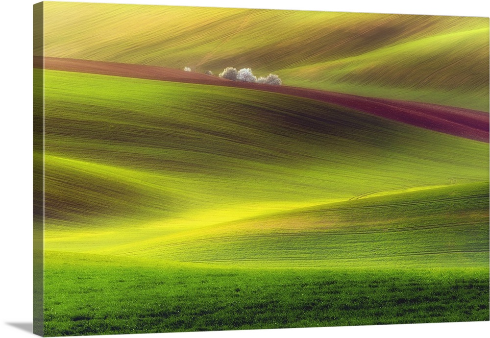A stripe of brown cuts across a landscape of green rolling hills in Moravia, Czech Republic.