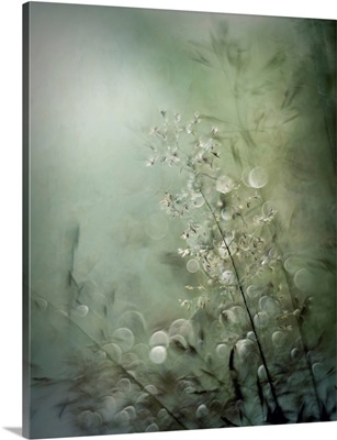 Grasses