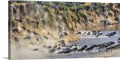 Great Migration