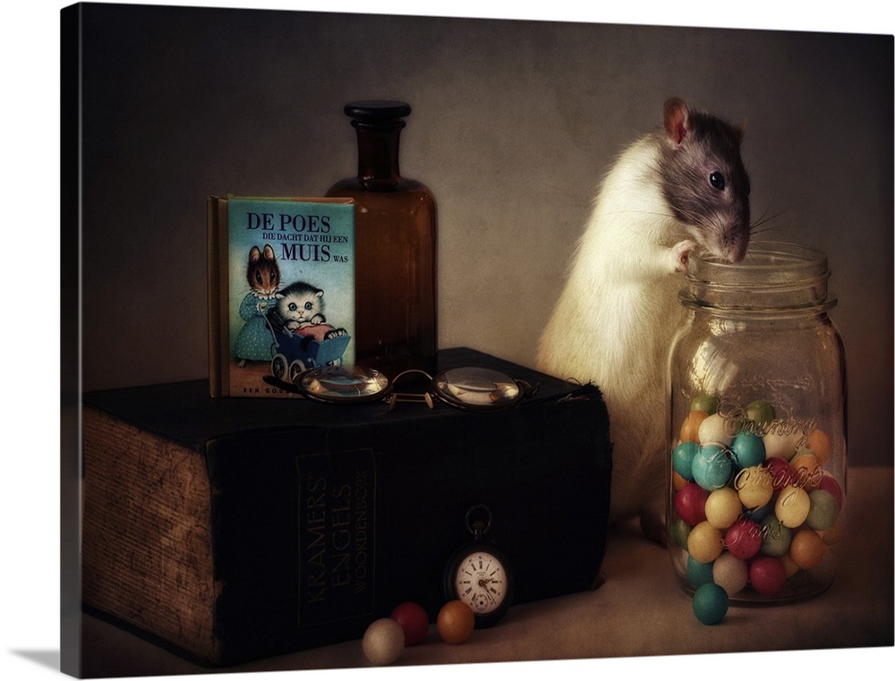 A conceptual photograph of a rat sitting with a jar of colorful gumballs.